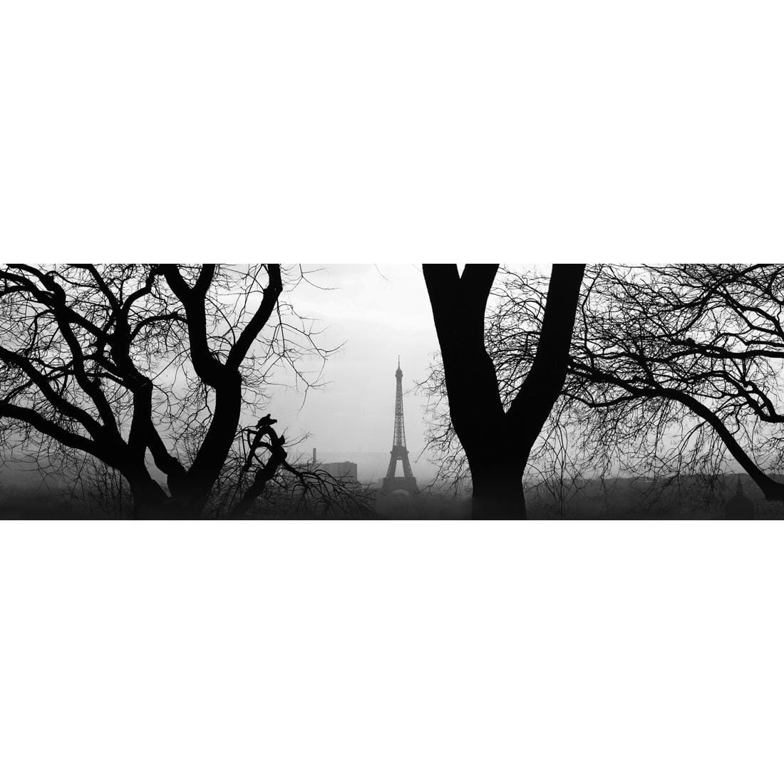 Eiffel Tower Through Trees, Black and White (Long) - wallart-australia - Canvas