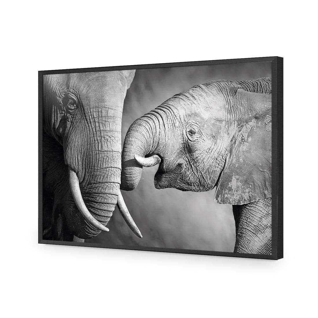 Elephant and Mum - wallart-australia - Acrylic Glass No Border