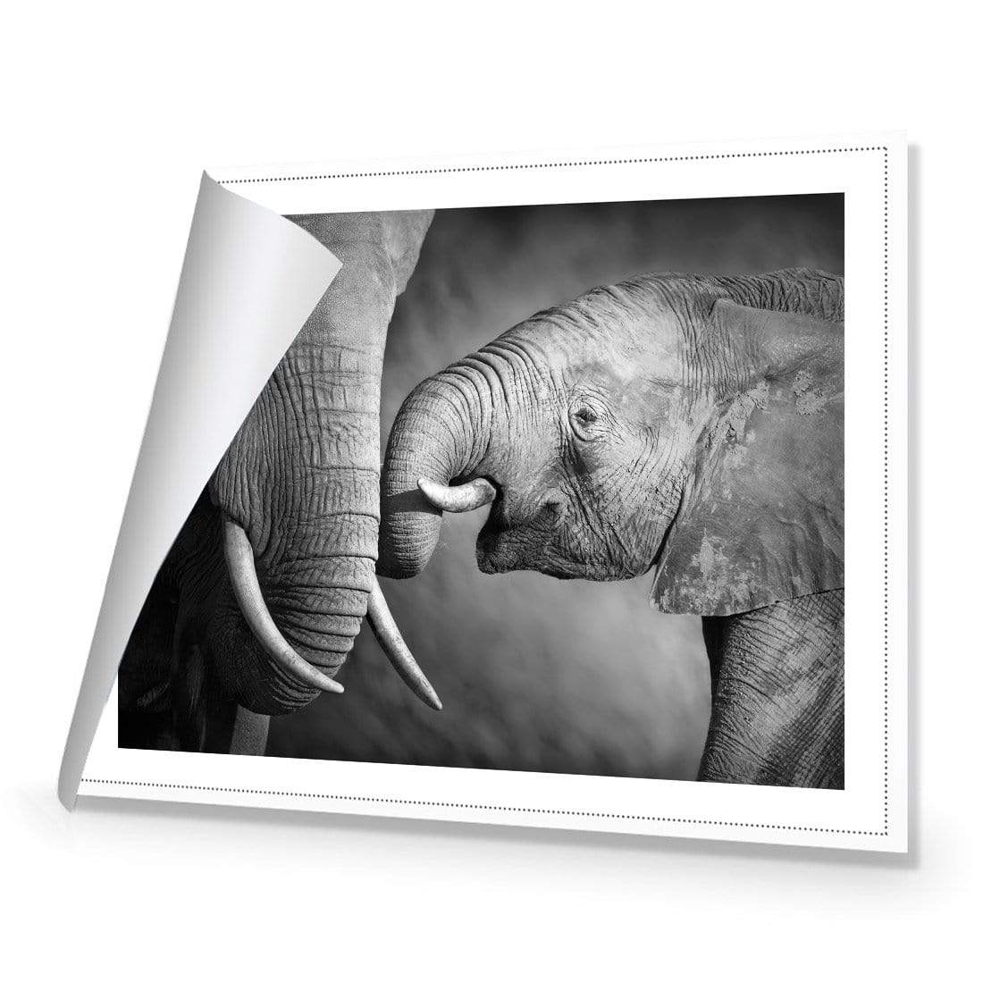 Elephant and Mum - wallart-australia - Canvas