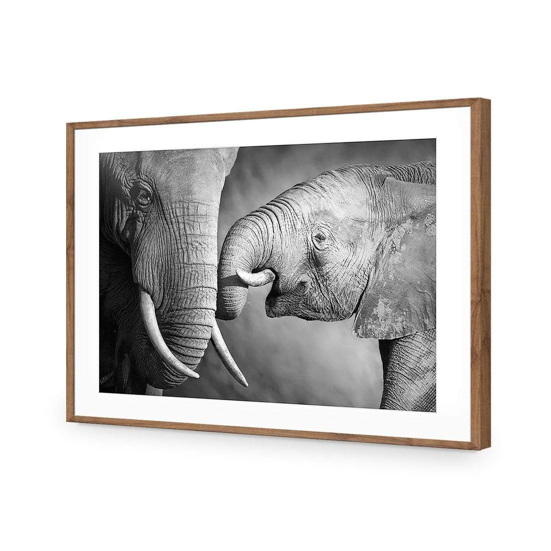 Elephant and Mum - wallart-australia - Acrylic Glass With Border