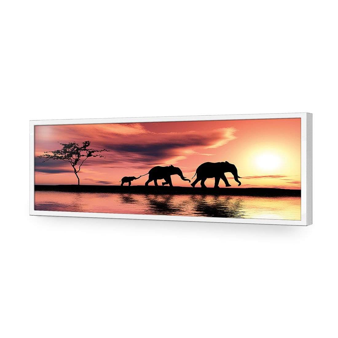 Family of Elephants at Sunset - wallart-australia - Acrylic Glass No Border