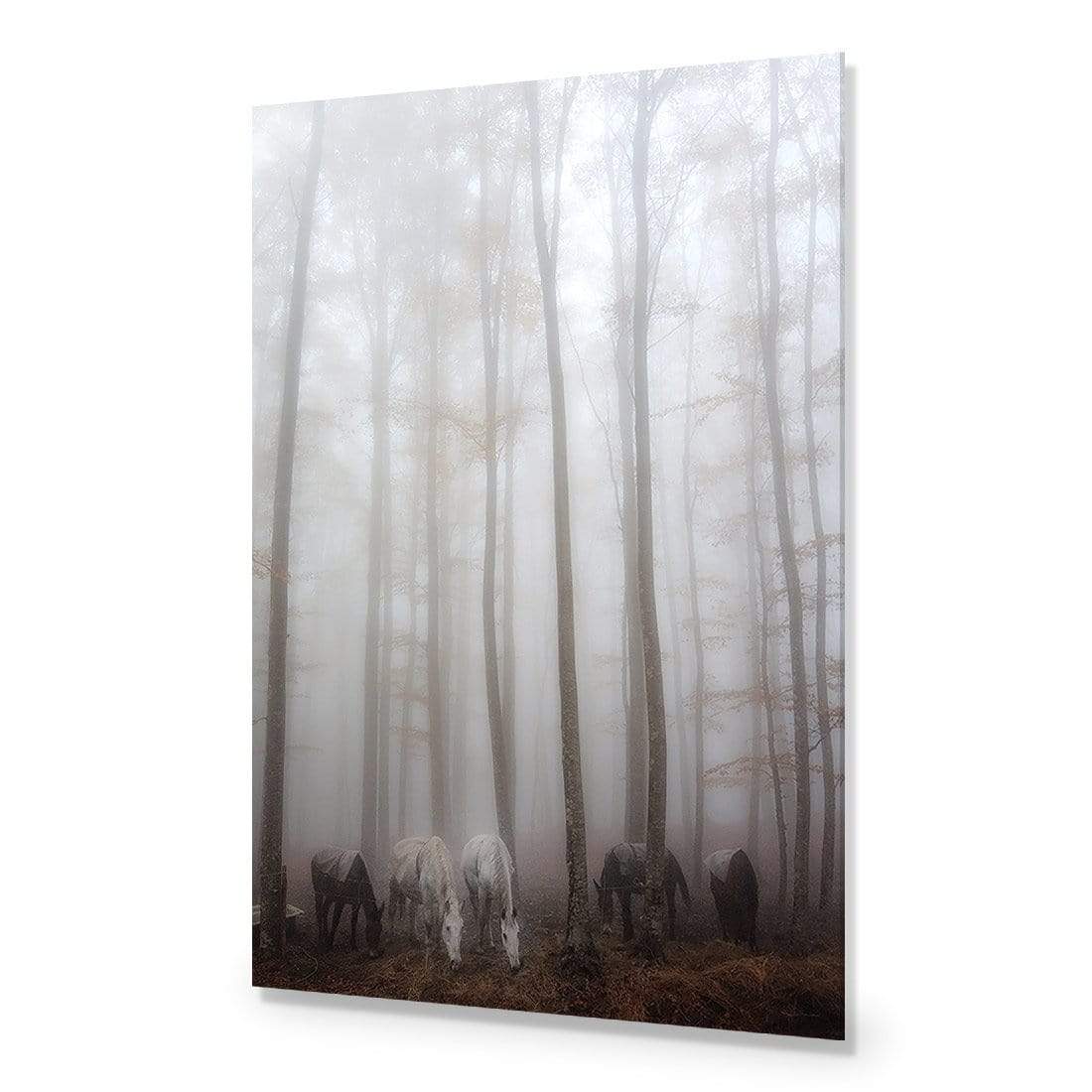 Fog By Francesco Martini - wallart-australia - Acrylic Glass No Border
