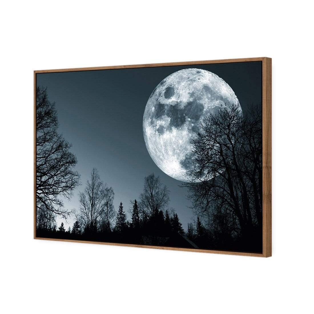 Forest Moon - wallart-australia - Canvas