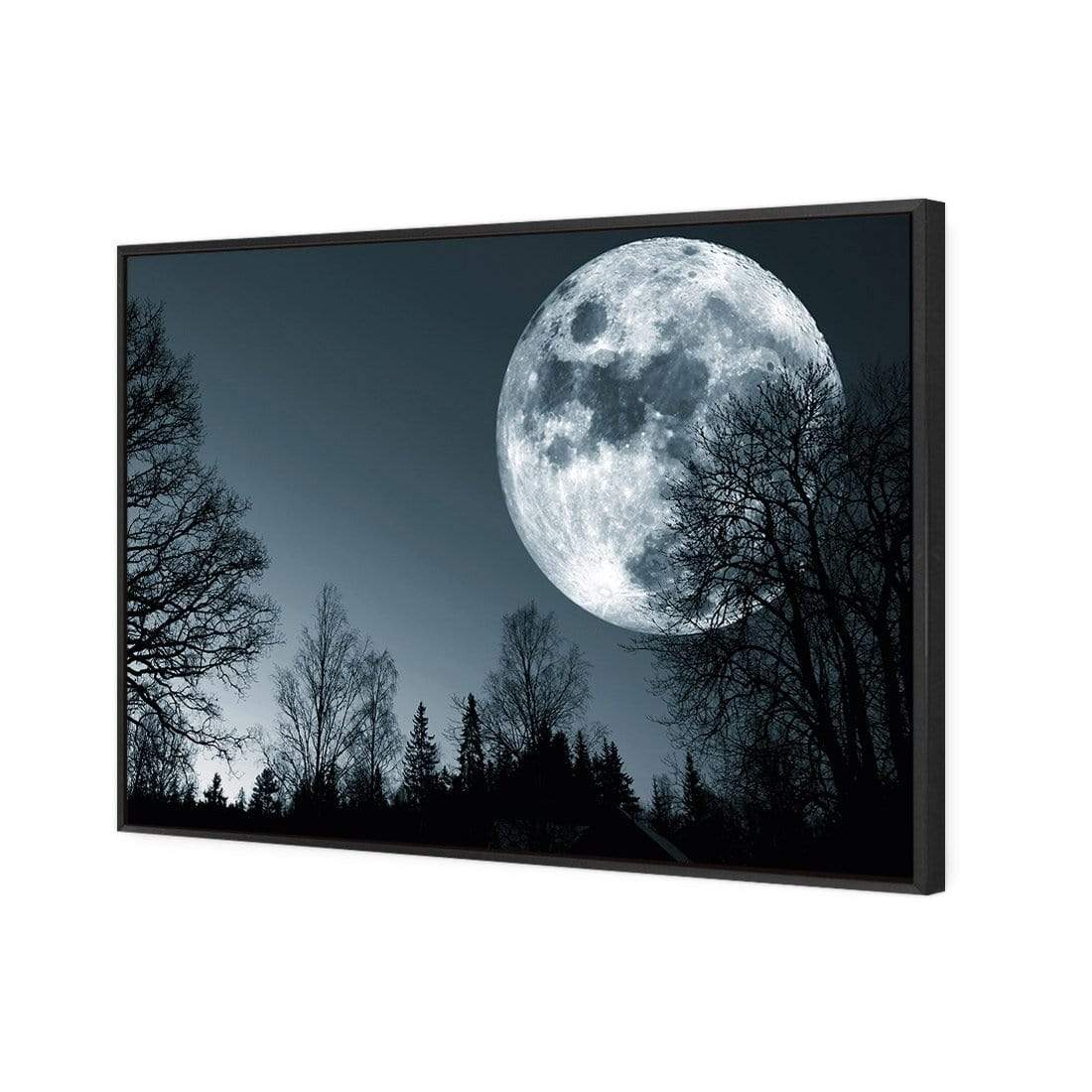 Forest Moon - wallart-australia - Canvas