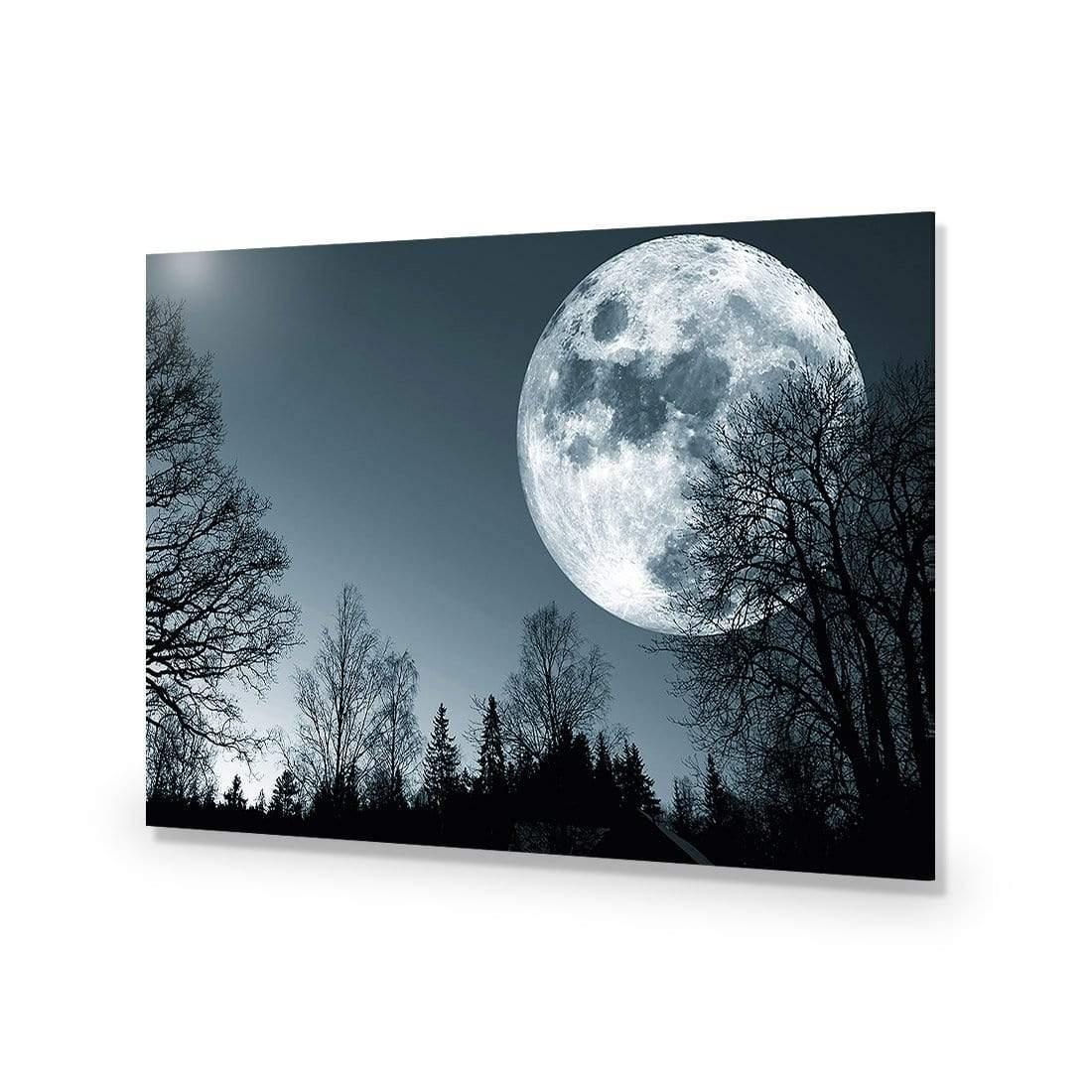Forest Moon - wallart-australia - Acrylic Glass No Border