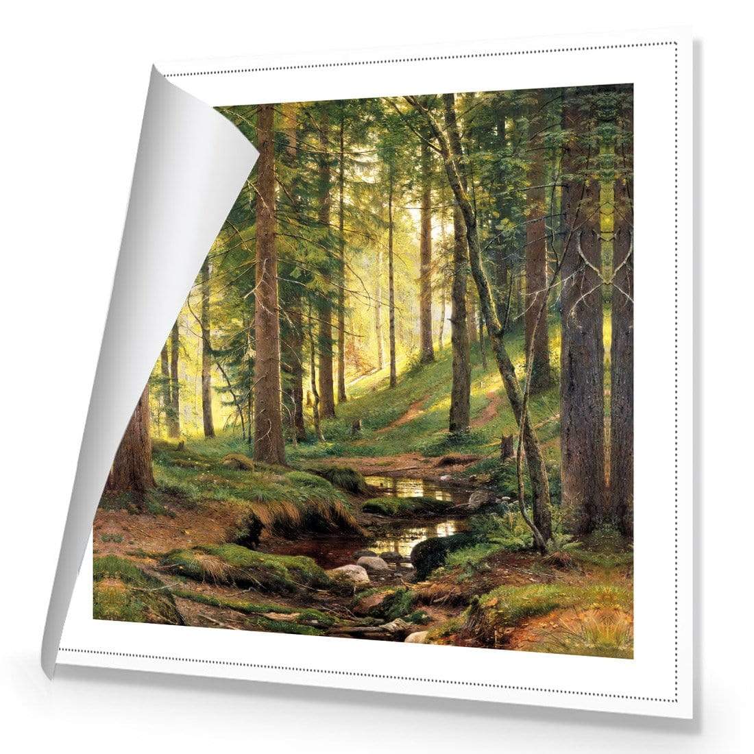 Forest Stream (Square) By Ivan Shishkin - wallart-australia - Canvas