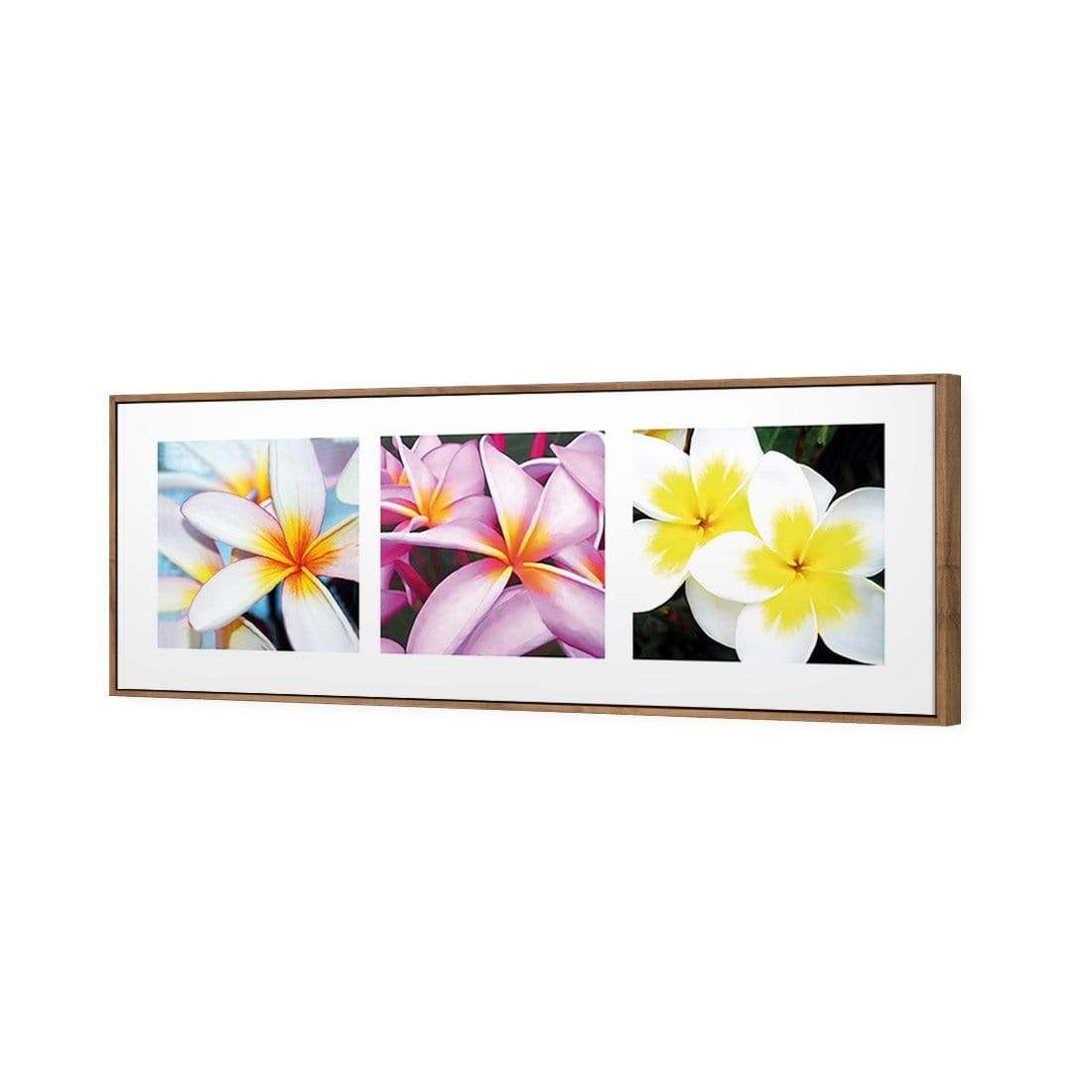 Frangipani Montage (3) - wallart-australia - Canvas