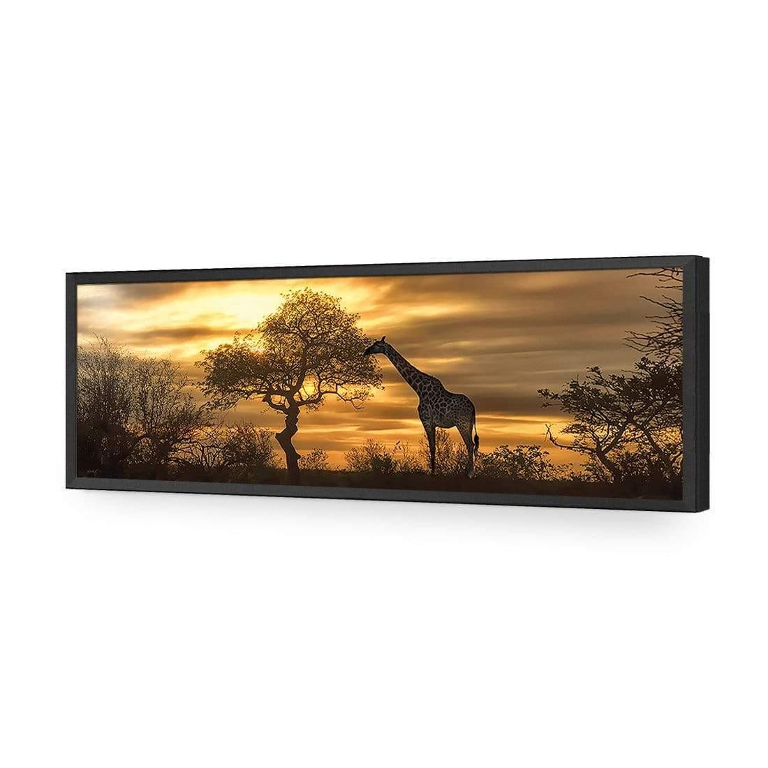 Giraffe at Sunset, Original (long) - wallart-australia - Acrylic Glass No Border