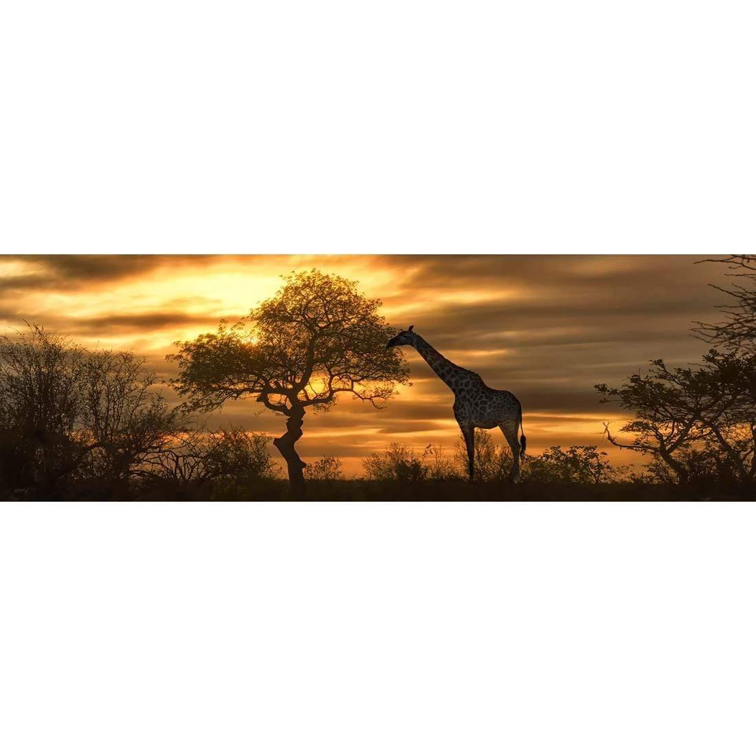 Giraffe at Sunset, Original (long) - wallart-australia - Canvas