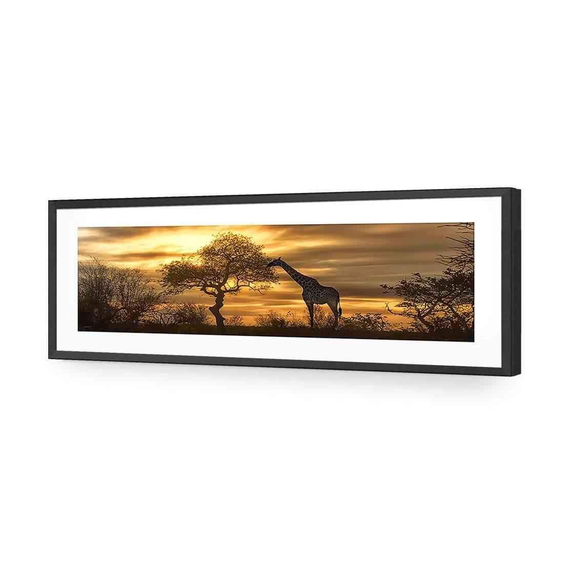 Giraffe at Sunset, Original (long) - wallart-australia - Acrylic Glass With Border