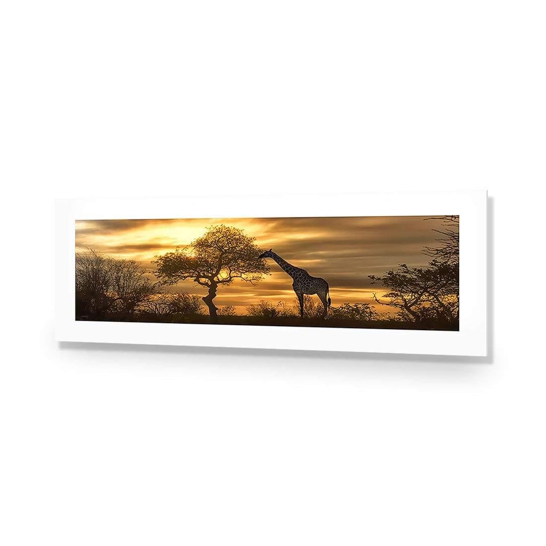 Giraffe at Sunset, Original (long) - wallart-australia - Acrylic Glass With Border