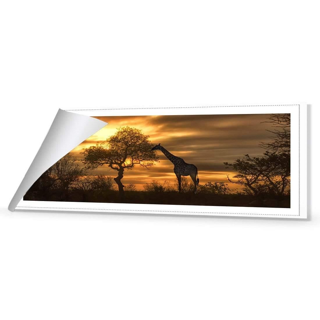 Giraffe at Sunset, Original (long) - wallart-australia - Canvas