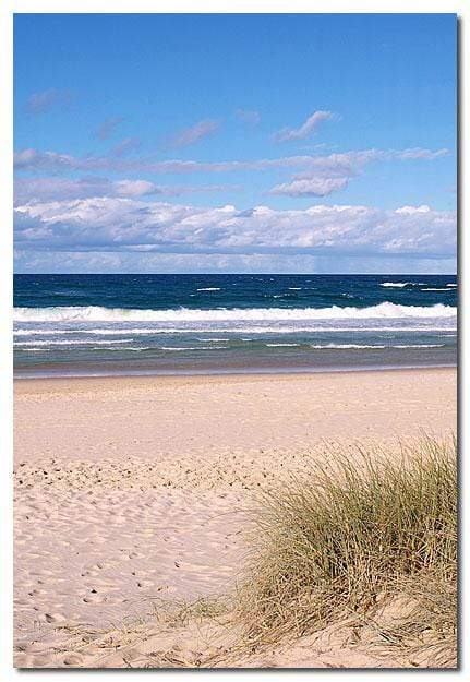 Gold Coast Beach (rectangle) - wallart-australia - Canvas