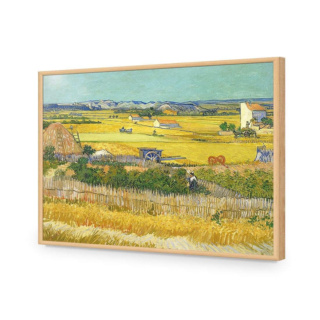 Harvest By Van Gogh - wallart-australia - Acrylic Glass No Border