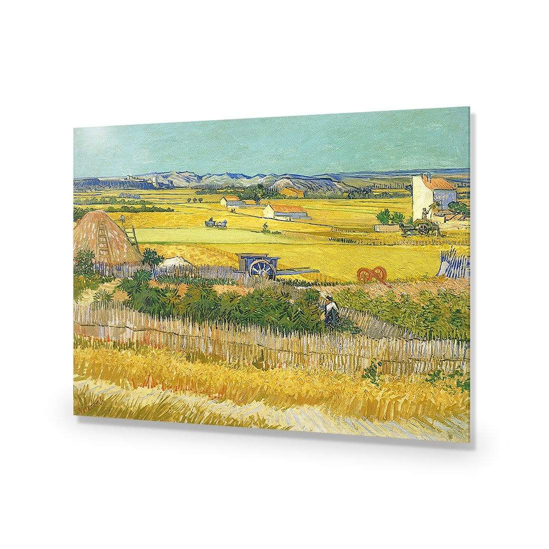 Harvest By Van Gogh - wallart-australia - Acrylic Glass No Border