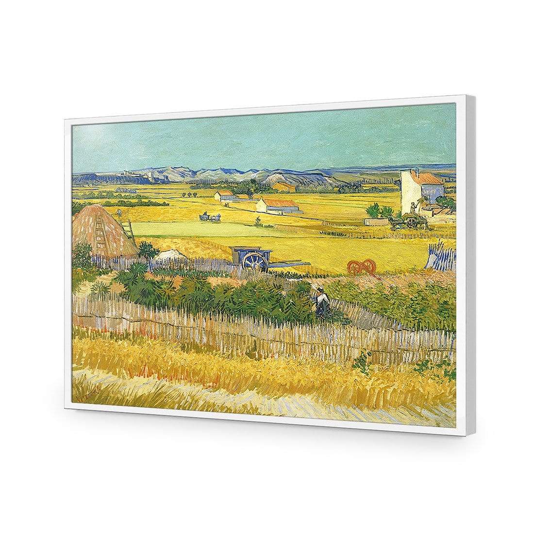 Harvest By Van Gogh - wallart-australia - Acrylic Glass No Border