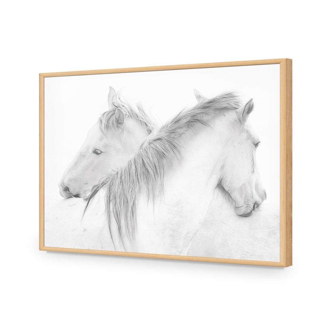 Horses By Marie-Anne Stas - wallart-australia - Acrylic Glass No Border