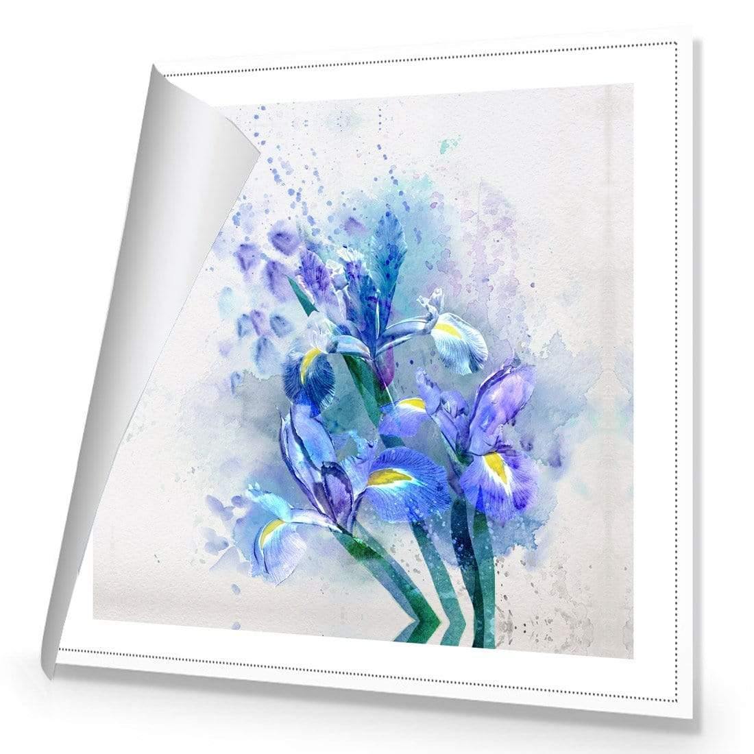 Iris Rain (square) - wallart-australia - Canvas