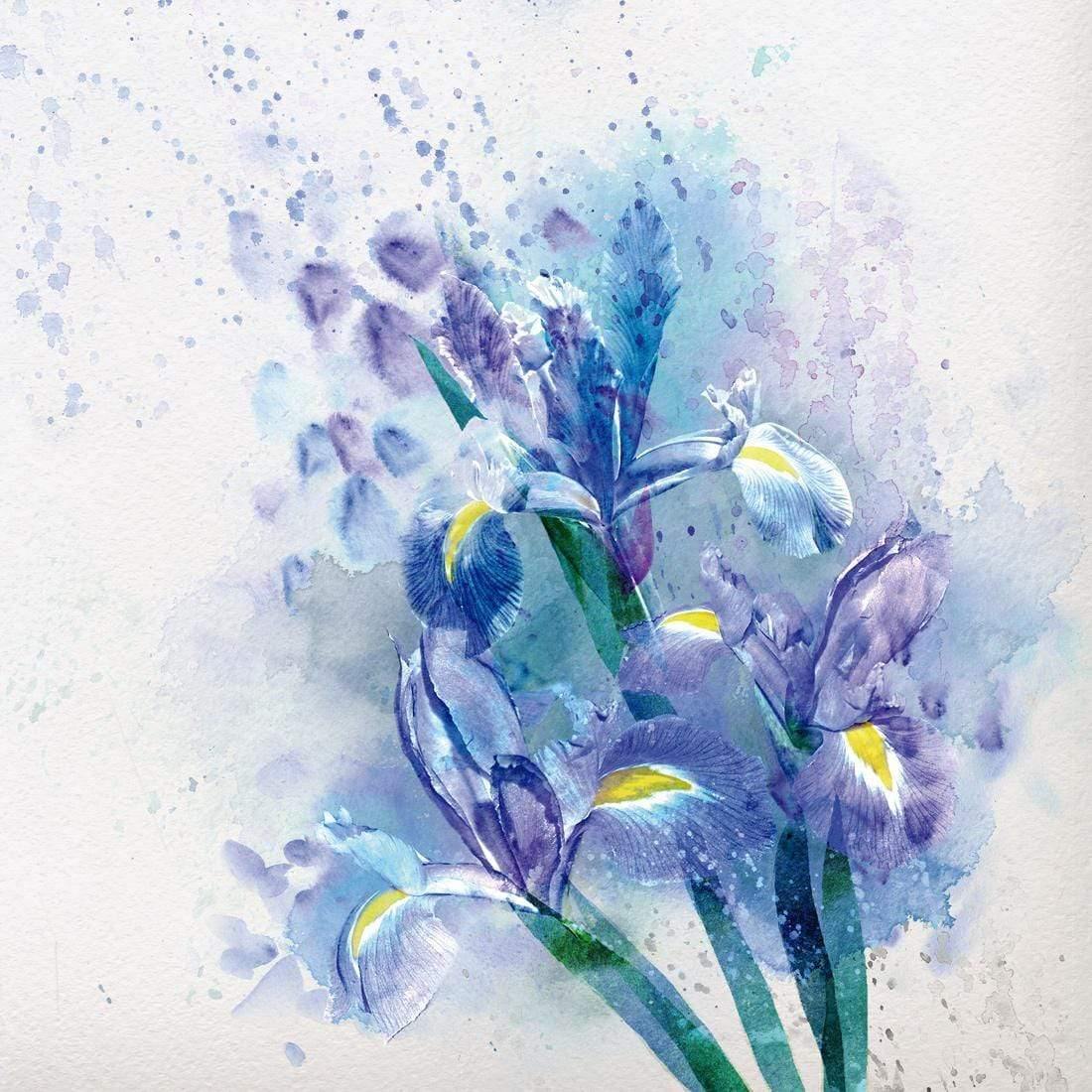 Iris Rain (square) - wallart-australia - Canvas