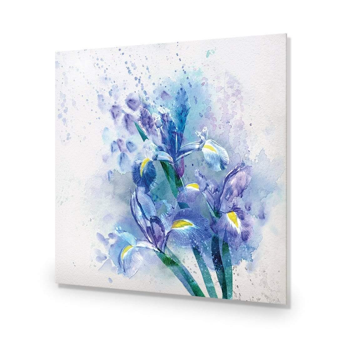 Iris Rain (square) - wallart-australia - Acrylic Glass No Border