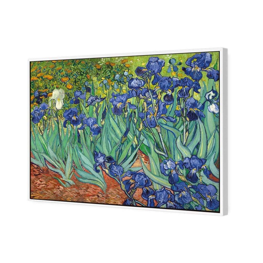 Irises 2 By Van Gogh - wallart-australia - Canvas