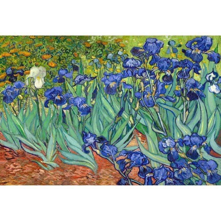 Irises 2 By Van Gogh - wallart-australia - Canvas