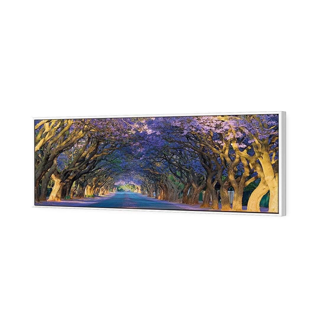 Jacaranda Alley (long) - wallart-australia - Canvas