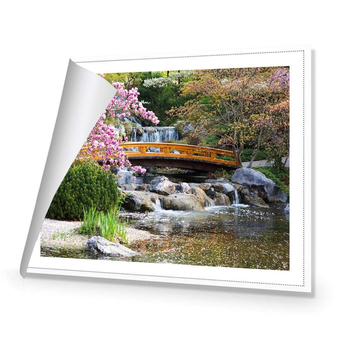 Magnolia Garden Bridge - wallart-australia - Canvas