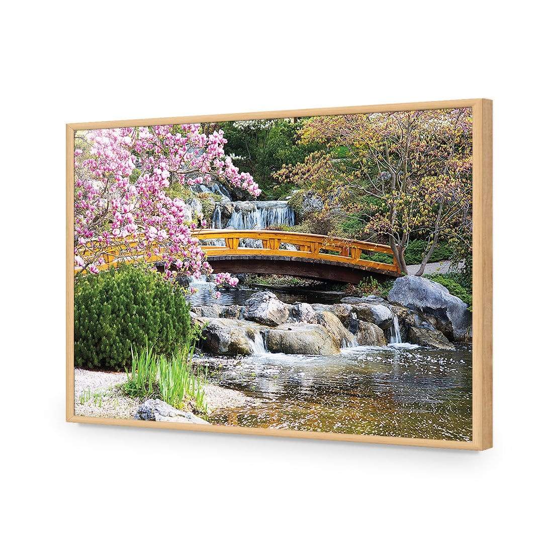 Magnolia Garden Bridge - wallart-australia - Acrylic Glass No Border