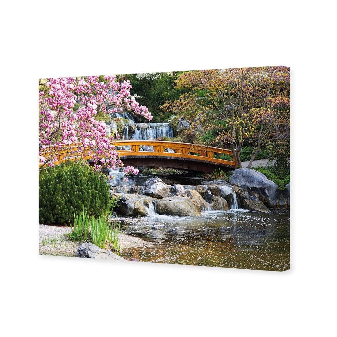 Magnolia Garden Bridge - wallart-australia - Canvas