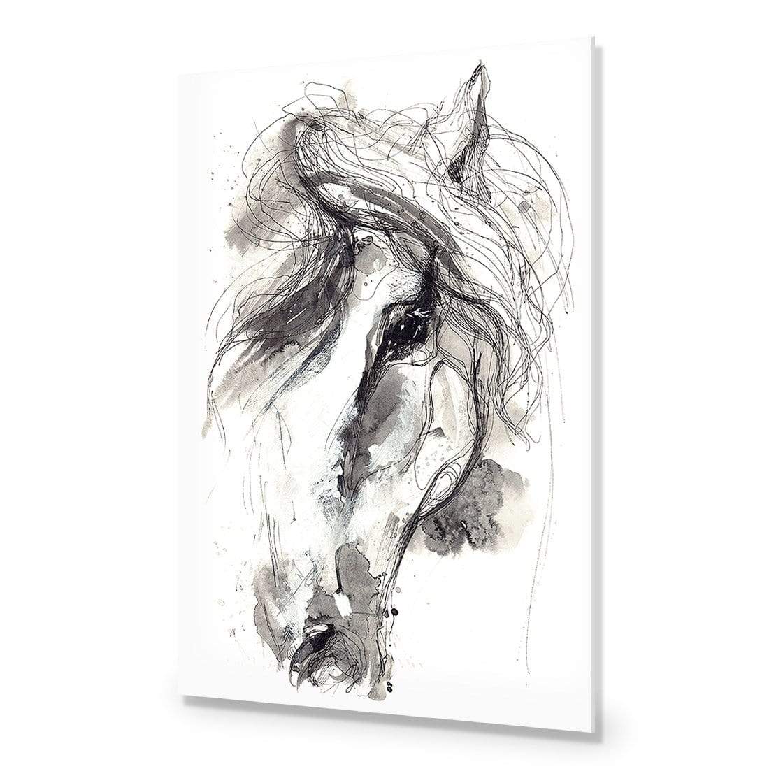Monochrome Sketch Horse - wallart-australia - Acrylic Glass No Border