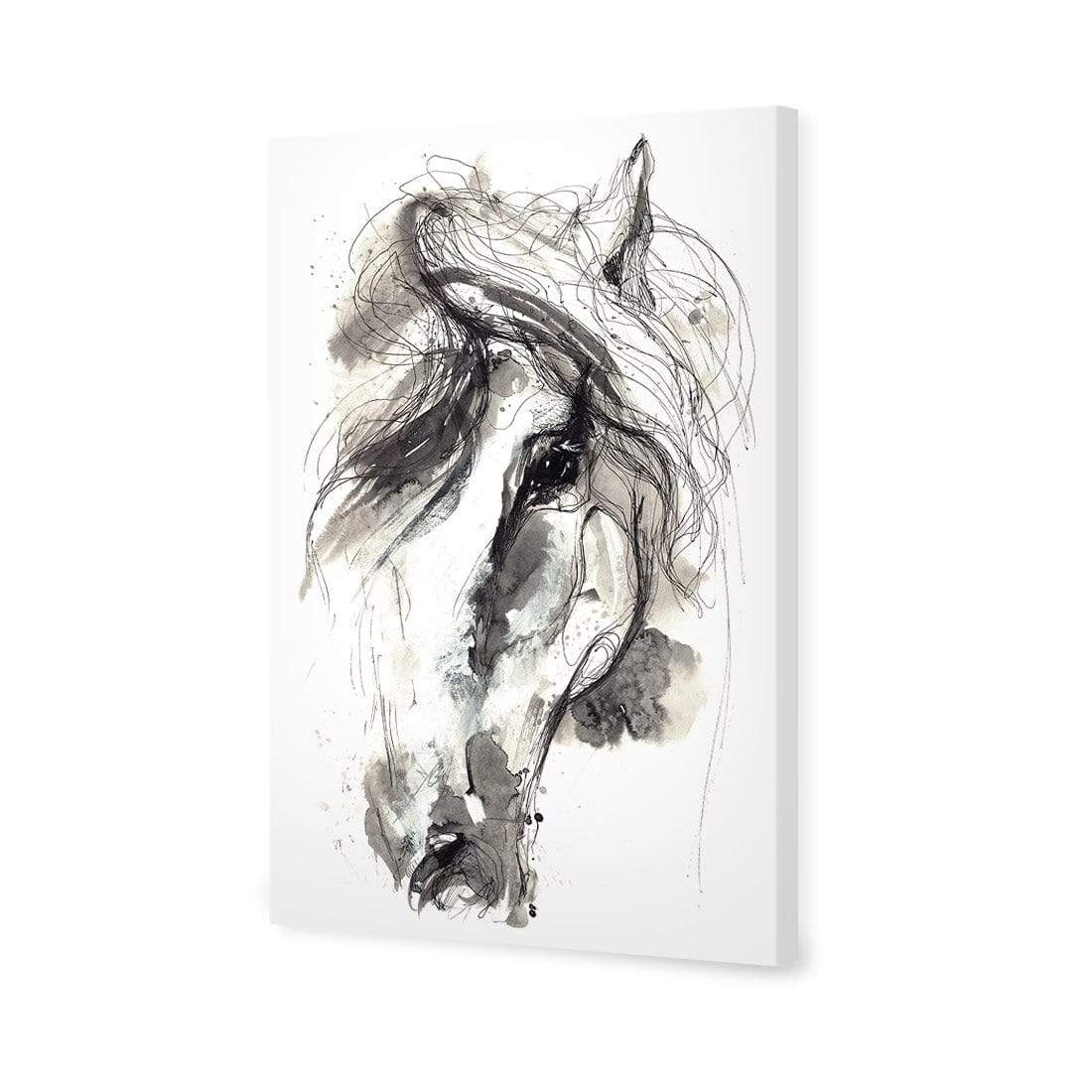 Monochrome Sketch Horse - wallart-australia - Canvas