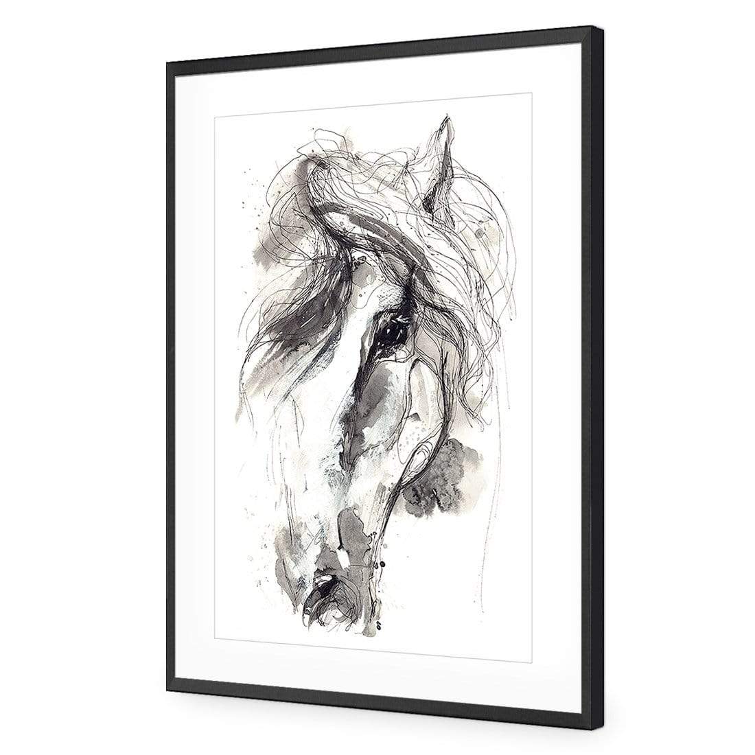 Monochrome Sketch Horse - wallart-australia - Acrylic Glass With Border