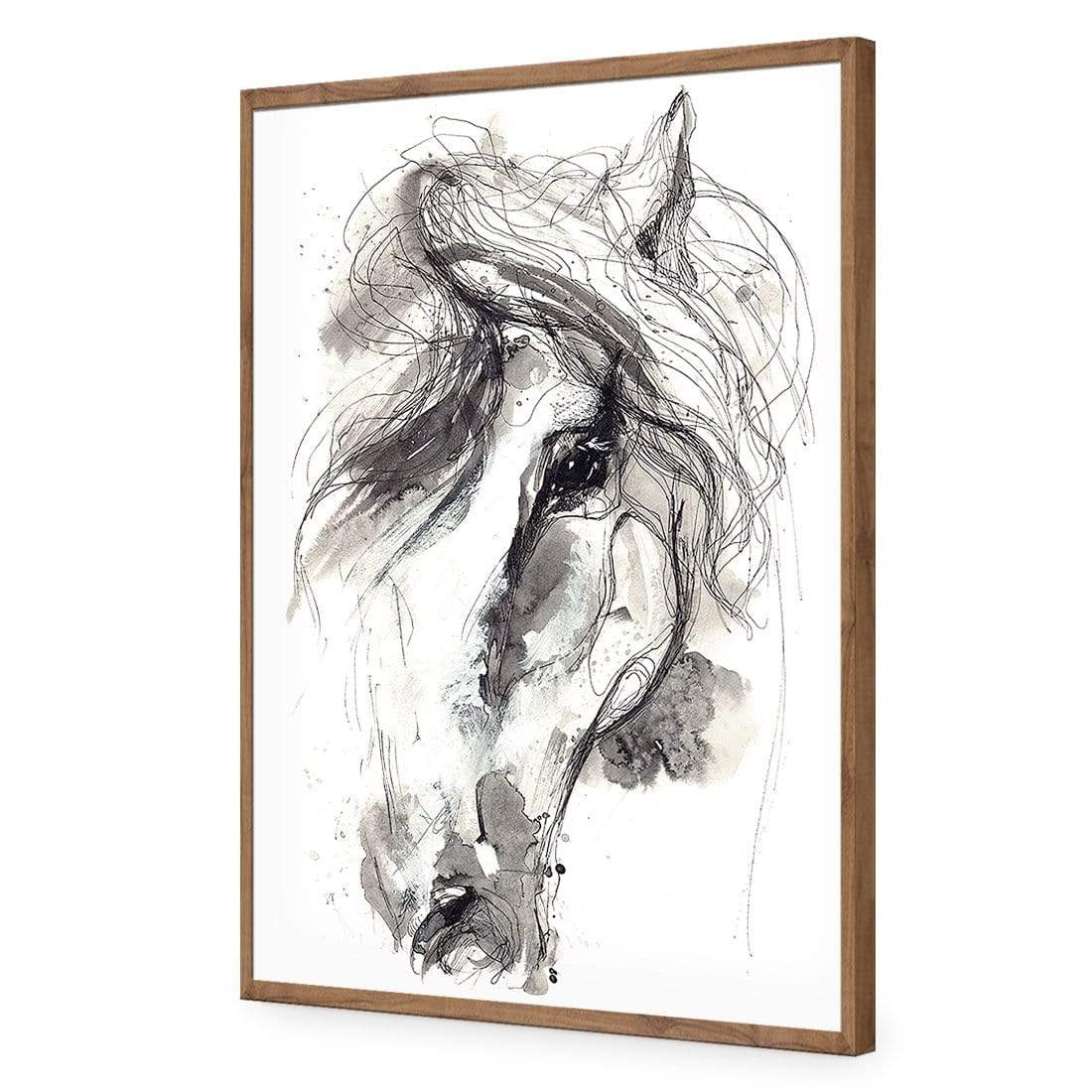 Monochrome Sketch Horse - wallart-australia - Acrylic Glass No Border