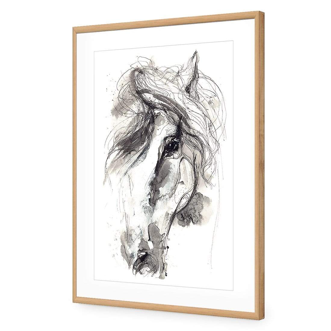 Monochrome Sketch Horse - wallart-australia - Acrylic Glass With Border
