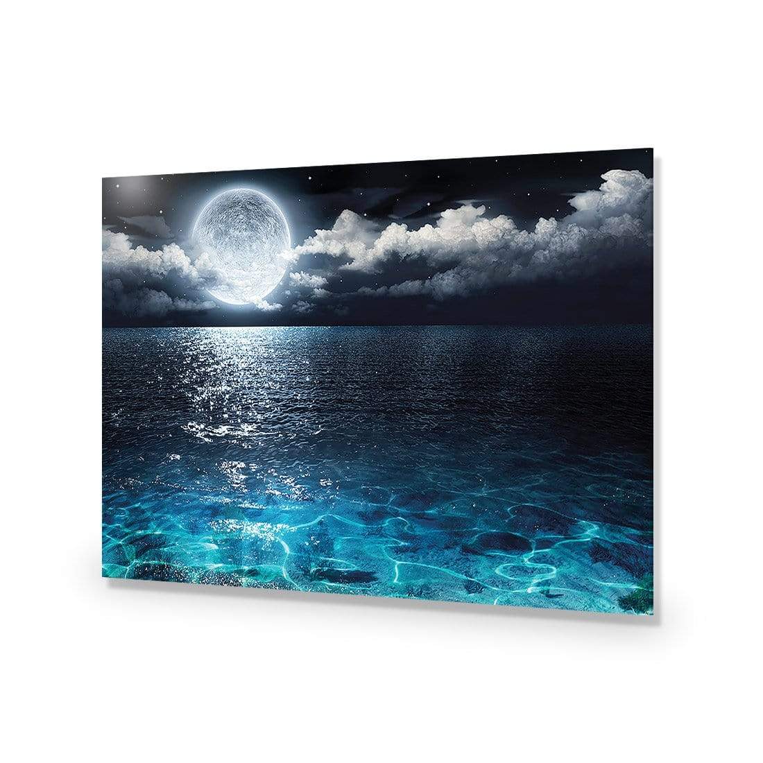 Moonlight Flit - wallart-australia - Acrylic Glass No Border