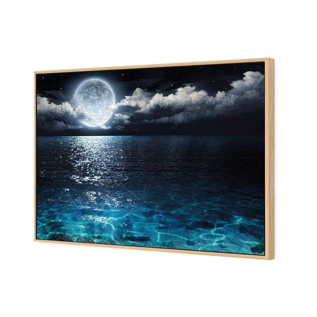 Moonlight Flit - wallart-australia - Canvas