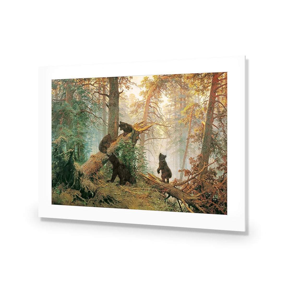 Morning in a Pine Forest By Ivan Shishkin - wallart-australia - Acrylic Glass With Border