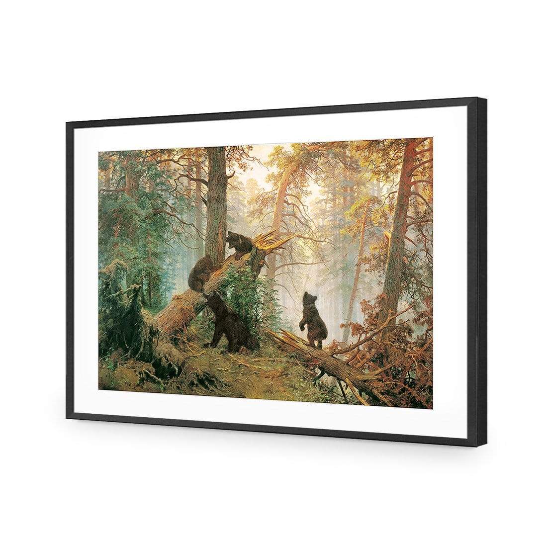 Morning in a Pine Forest By Ivan Shishkin - wallart-australia - Acrylic Glass With Border
