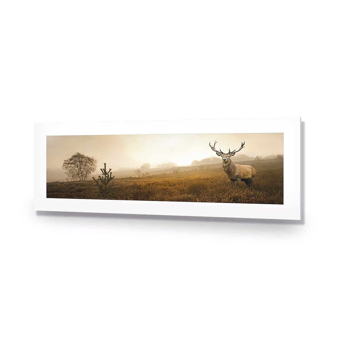 Morning Stag (Long) - wallart-australia - Acrylic Glass With Border