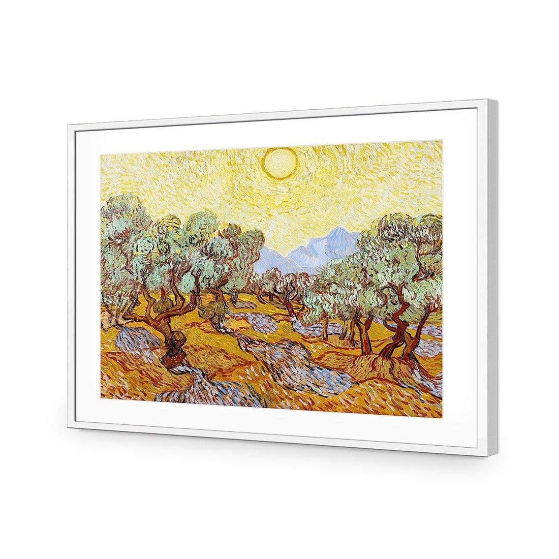 Olive Trees By Van Gogh - wallart-australia - Acrylic Glass With Border