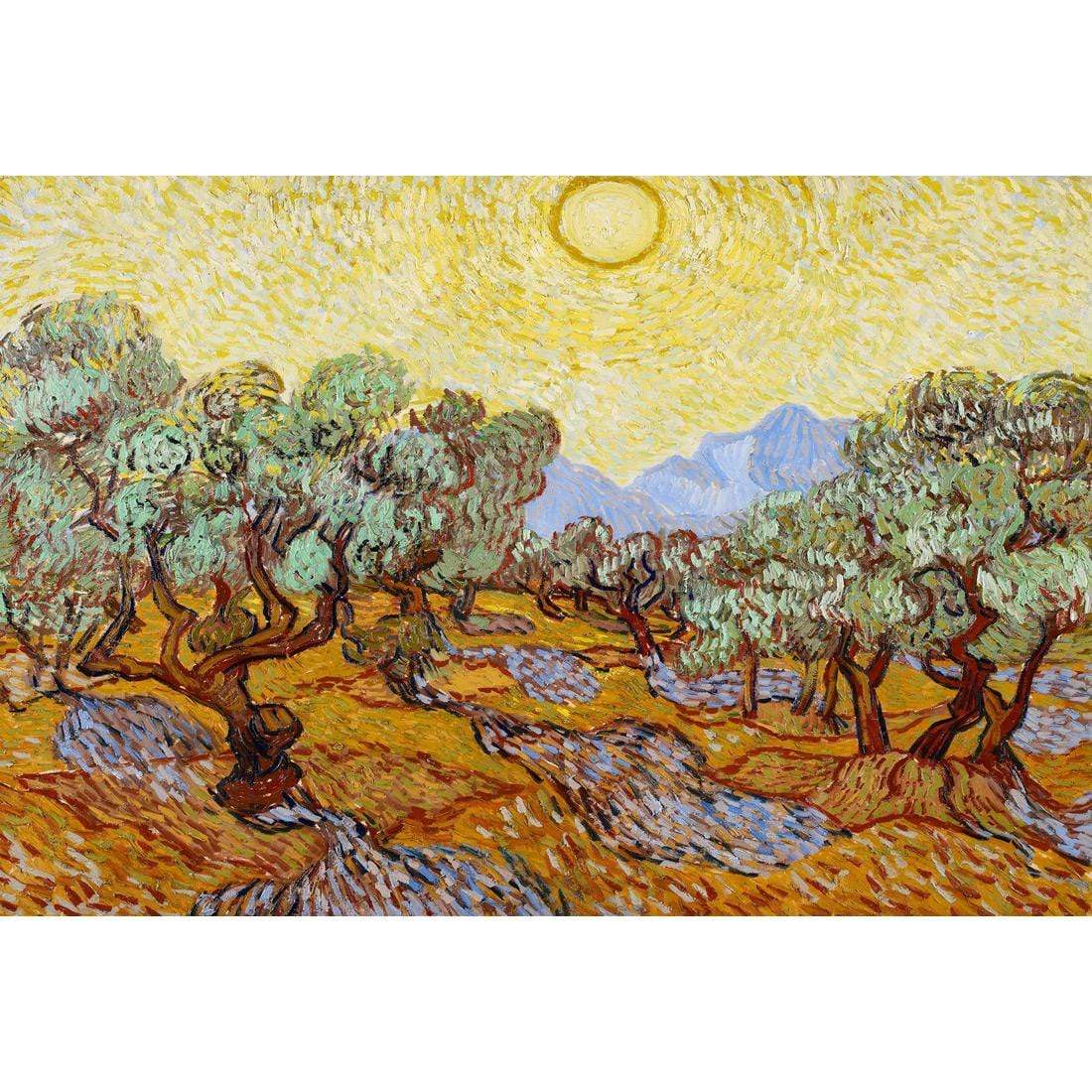 Olive Trees By Van Gogh - wallart-australia - Canvas