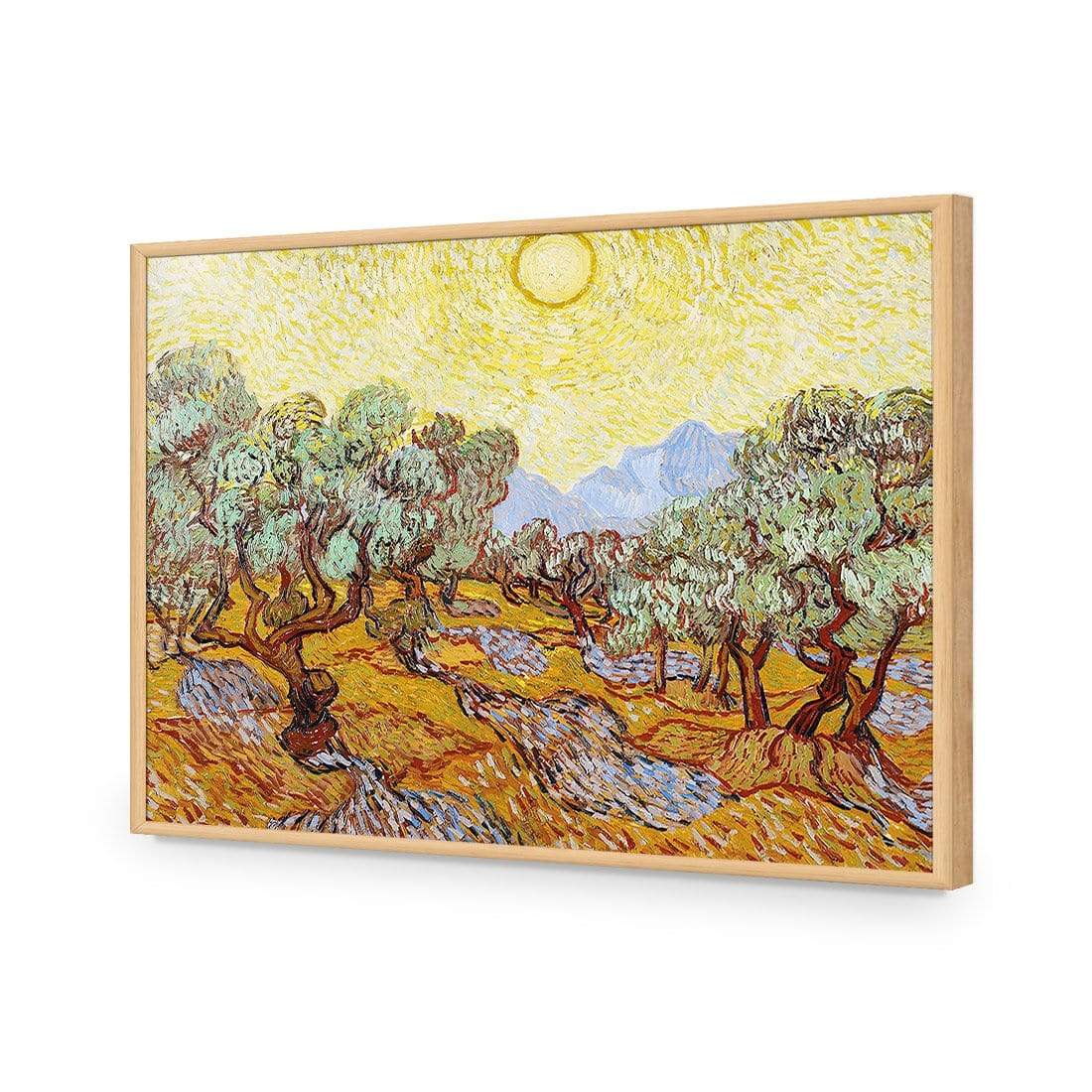Olive Trees By Van Gogh - wallart-australia - Acrylic Glass No Border