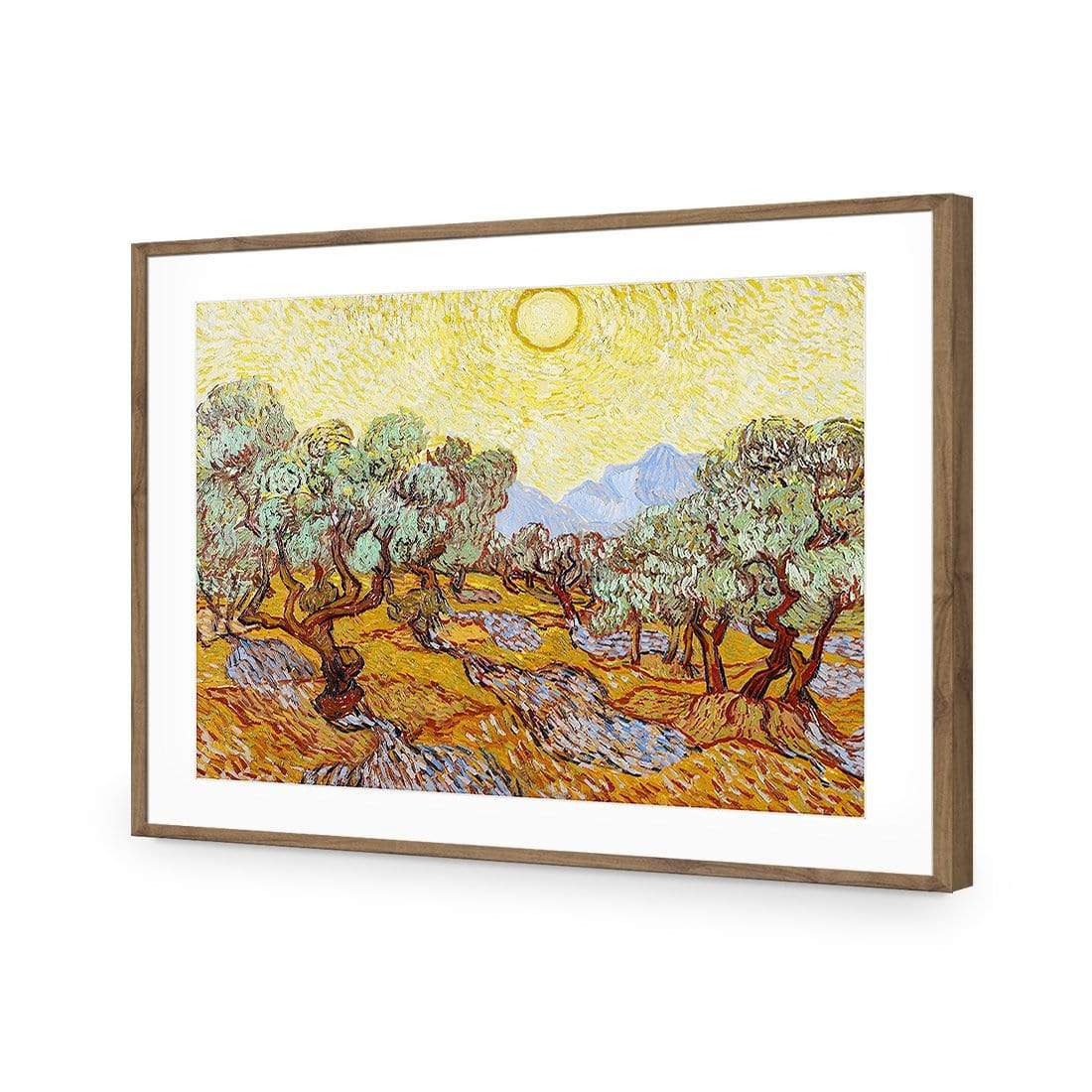 Olive Trees By Van Gogh - wallart-australia - Acrylic Glass With Border