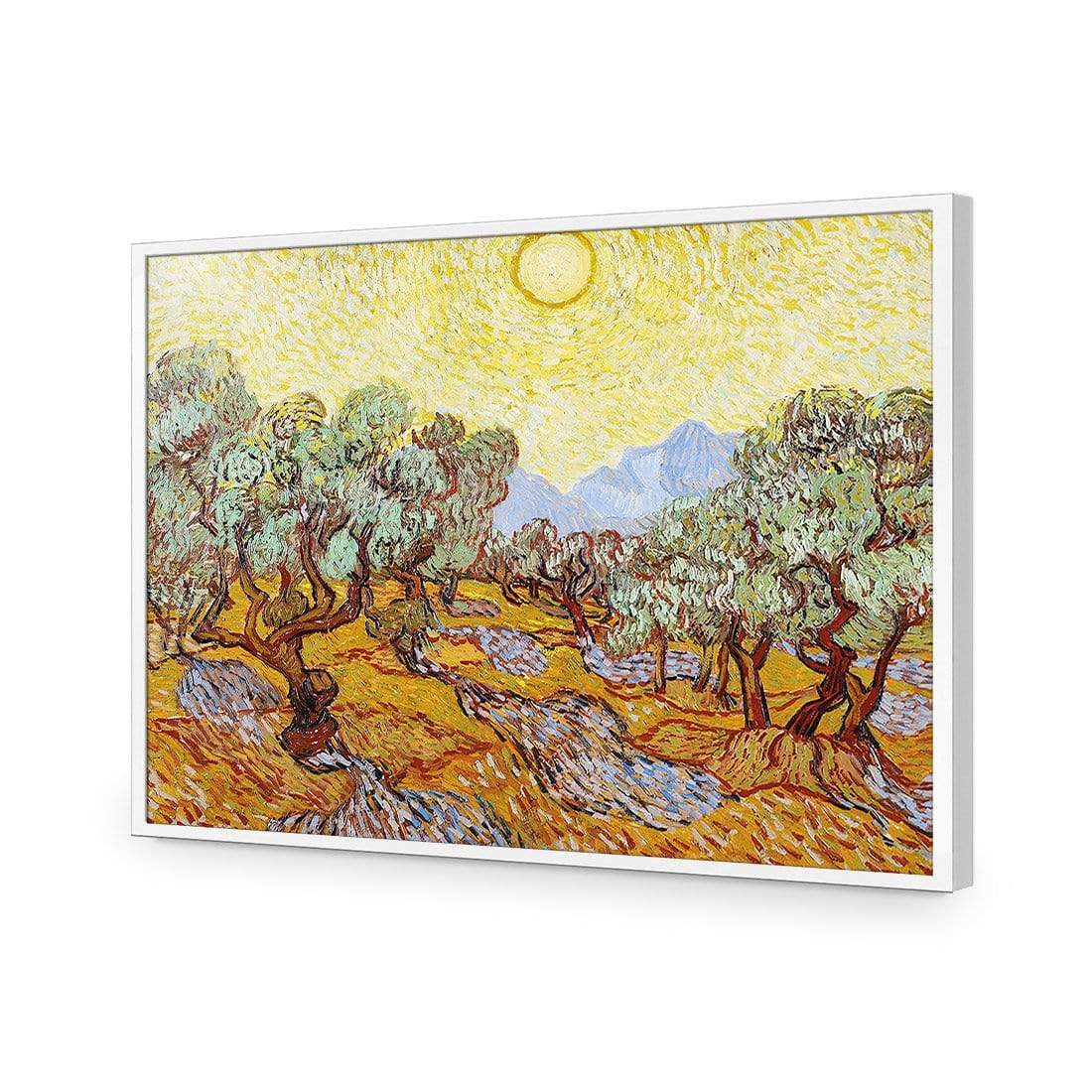 Olive Trees By Van Gogh - wallart-australia - Acrylic Glass No Border