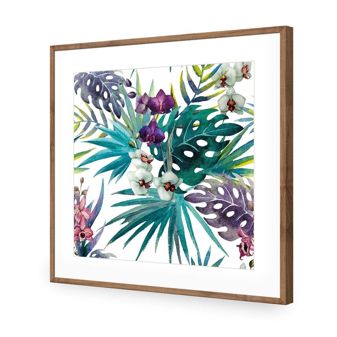 Orchid Exotica (Square) - wallart-australia - Acrylic Glass With Border