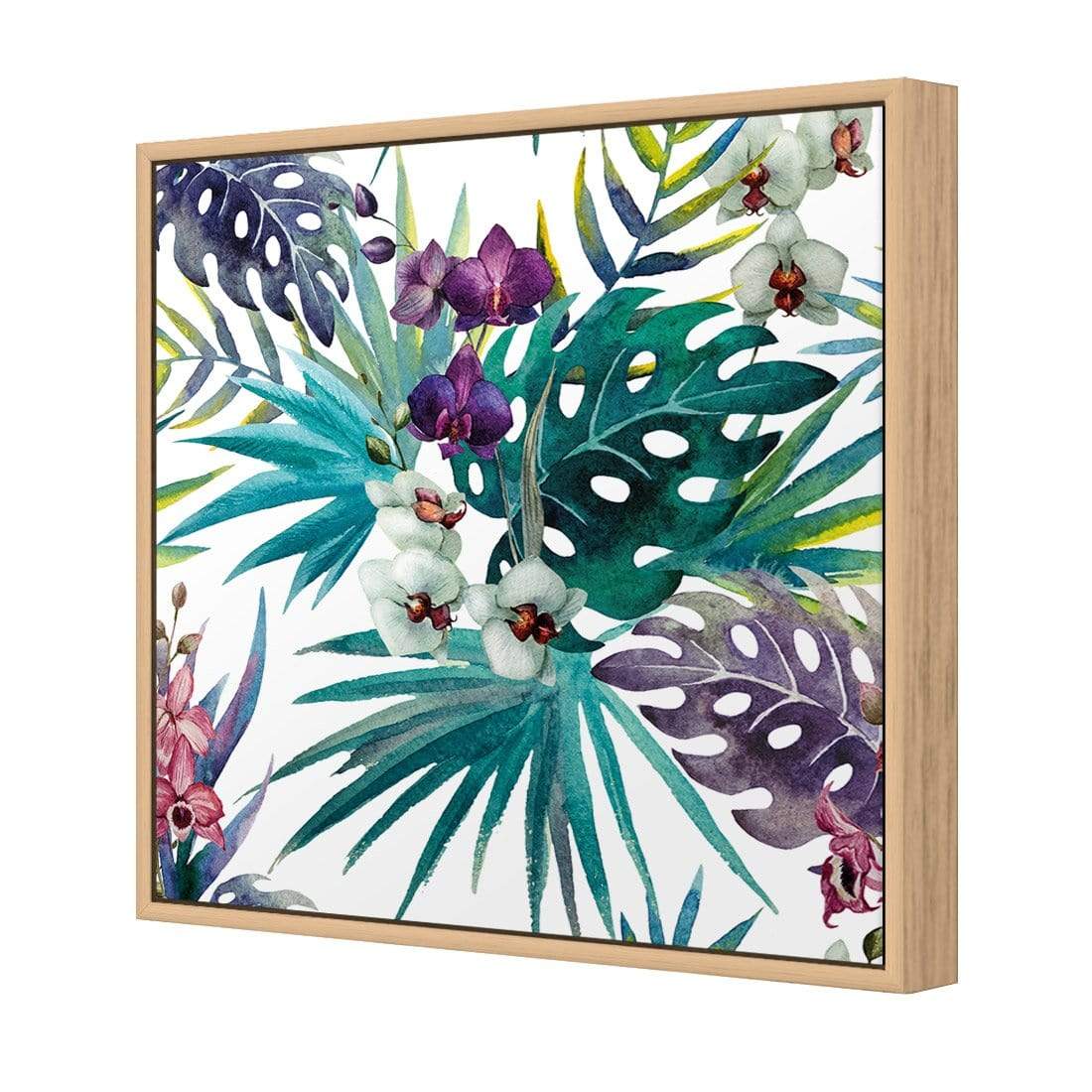 Orchid Exotica (Square) - wallart-australia - Canvas