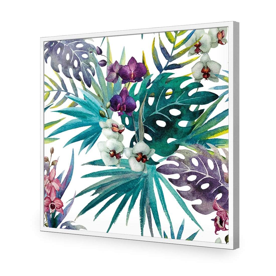 Orchid Exotica (Square) - wallart-australia - Acrylic Glass No Border