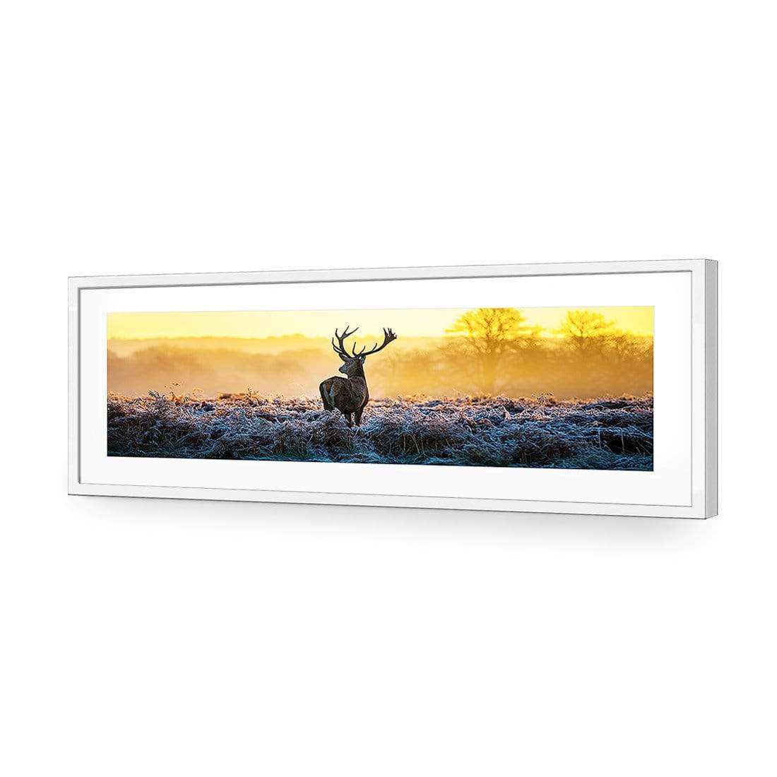 Red Deer at Dawn (Long) - wallart-australia - Acrylic Glass With Border