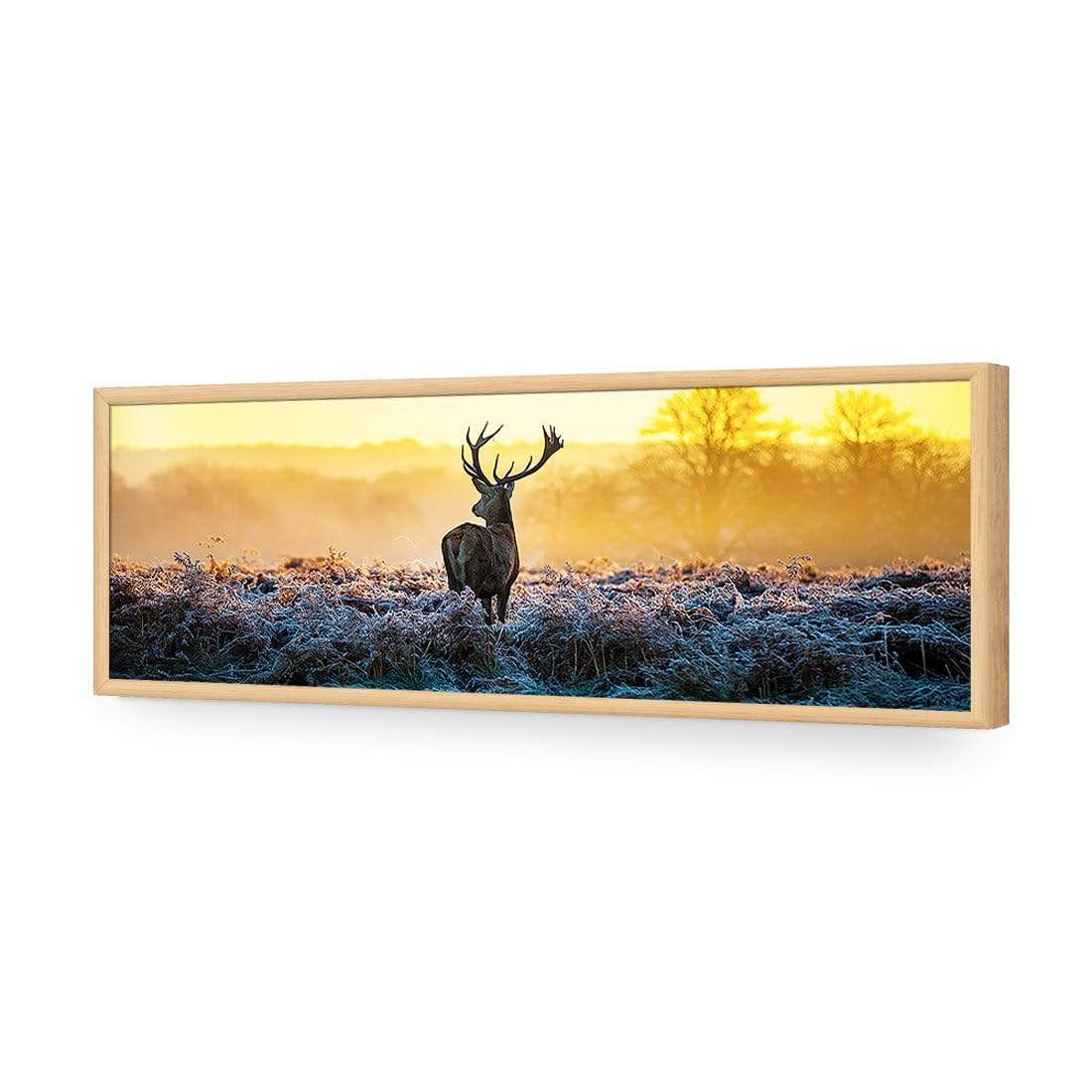 Red Deer at Dawn (Long) - wallart-australia - Acrylic Glass No Border